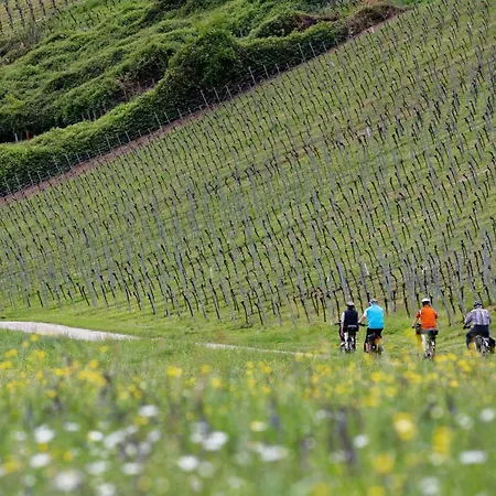 Laurentius Agroturismo *