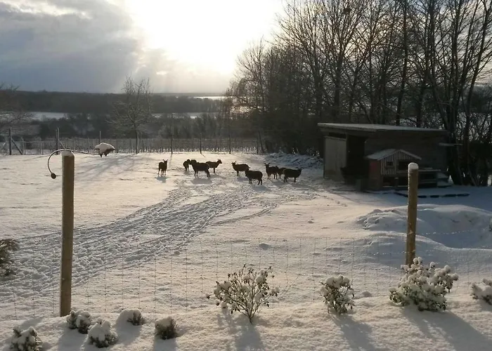 Laurentius * Oedheim