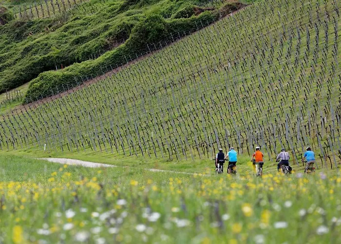 Laurentius Gospodarstwo agroturystyczne *